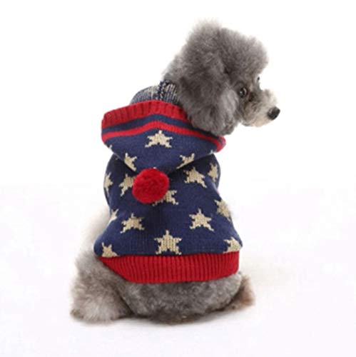 ICOUCHI  ybg H~  Z[^[ pjbg p/ ybgEFA hbOEGA m ^ ^ p[J[ ю t[ht _炩 h Eѕی U LOBe NX}X