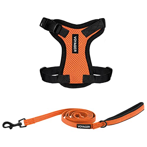 Image of Best Pet Supplies Voyager Step-in Lock Pet Harness w Reflective Pet Leash Combo Set with Neoprene Handle 5ft - Supports Small, Medium and Large Breed Puppies /Cats - Orange /Black Trim, XXXS