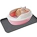2 Pack Large Multifunctional Tray Mat Washable Indoor or Outdoor Tray Mat for Shoes Boots Plants Pots Paint Tins Pet Bowls Car Storage, 30 x 15 x 1.2 Inches