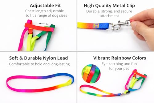 Image of Dog Trust Colourful Adjustable Nylon Puppy Leash Harness and Collar Combo, Suitable for Puppy 15 mm Multicolor (Collar + Harness + Leash) 01