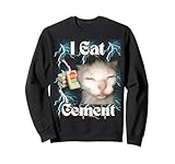 Cat Brainrot Memes