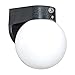 1 Light Flush Mount