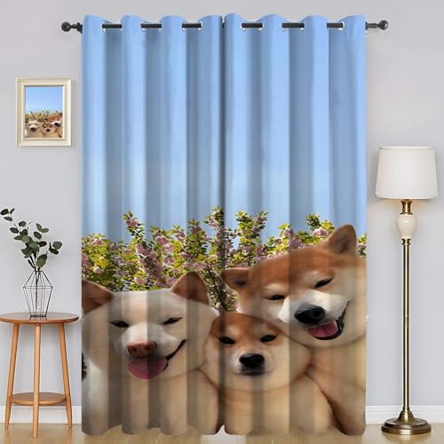 YZQGLHP Shiba Inu Japonés Cortinas Opacas Paquete de 2, Árbol con Flores Rosas Cortina, Puede Proteger contra el Frío y el Calor, Adecuadas para Dormitorios y Salas de Estar, 140An x 245Al cm