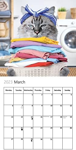 Fun Cats Wall Calendar 2023 - Large Family Planner & Daily Organiser with Funny Monthly Cat Image - Cat Gift, Christmas Stocking Filler & Slim Design 2023 Wall Planner