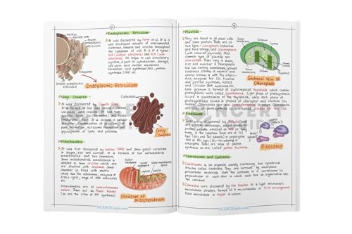 Image of NEET PCB Handwritten Notes Combo Pack | Physics & Chemistry Formula Guides + Biology Short Notes | Handwritten Colorful Study Combo | Rapid Revision Material for NEET & CBSE Class 11-12