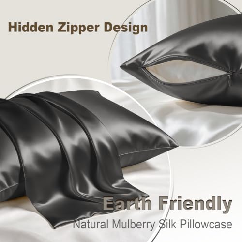 Image of LYSHIN Silk Pillow Cases 2 Pack Standard Size with Zipper, Dark Grey | 19 Momme Mulberry Silk Pillowcase for Skin and Hair, Anti-Acne, Hypoallergenic, Cooling, Beauty Sleep, Gifts for Women