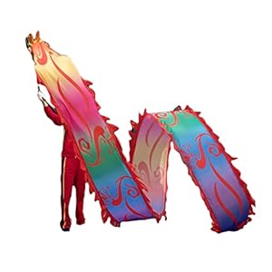 Fitness Streamer Dragon Dance Linten voor Ouderen/Jeugd/Volwassen, Chinese Folk Festival Viering Apparatuur Spelen…