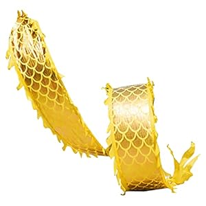 Lint Fitness Drakendanslint met Dubbelzijdig Drakenpatroon, Chinese Elementen Lint Gooien Streamer, Beginners Drakendans…