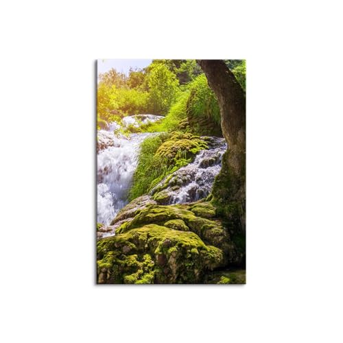 3 ���Z�b�g ���R�̕��i �J�^�G�� �t���[�� �����i �A�[�g�p�l�� �A�[�g�p�l�� �X �΂̕��� �x�����_�G�� ���i�� �X�̗΂̕ǉ� �z�[���C���e���A (50x70cm�i20x28in�j,R)