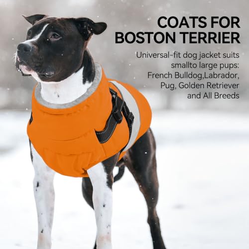 Image of Small Dog Coat with Harness Built in Warm Dog Winter Jacket
