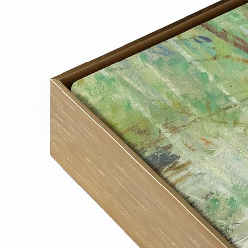 FOLKOR 5/6 Deep Frame for 36x48 Canvas Paintings DIY Metal Floating Frame for Artists Designers Grandmother Grandfather Portrait Artwork Framing Wall Art Baby Shower Thanksgiving Gift (Bronze)