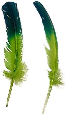 ZUCKER Two Tone Ombré Tipped Turkey Quill Feathers 10-12” 2 PC Feathers for Carnival, Dyed Feathers for DIY - Dark Turquoise/Lime