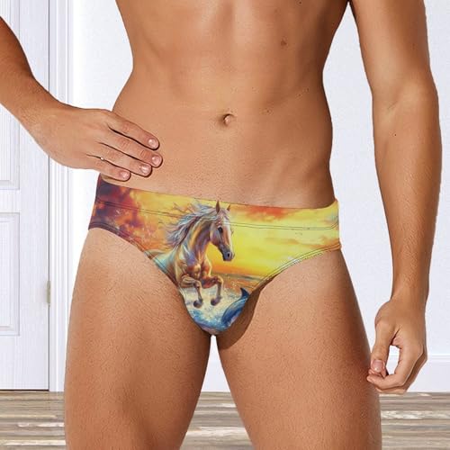Horse Dolphin Sunset Mens Swim Briefs Sexy Bikini Swimwear Bathing Suits Trunks4