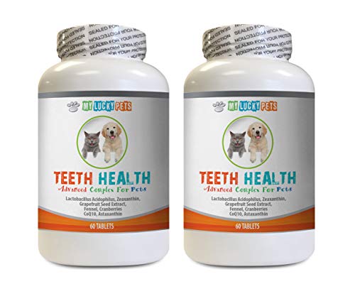 MY LUCKY PETS LLC Dog Teeth Cleaning Treats Medium - PET Teeth Health AID - Dogs and Cats - Immune Boost - Gum and Oral Care - Dog coenzyme q10-2 Bottles (120 Tablets)