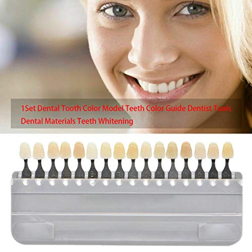 Smiledt 3D Teeth Whitening Shade Guide Porcelain - 16 Colors/Set Tooth Bleaching Shade Chart Mold - Tracking & Comparing - Dental Material Equipment - Oral Care #TOP2