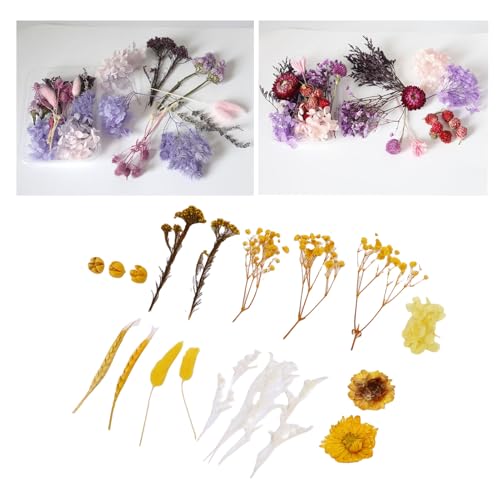 Paquete de ramos de flores secas para manualidades miniatura 5