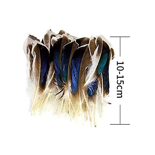 50Pcs Natural Feathers For Crafts 4-6Inch（10-15Cm）Diy Carnival Halloween Handwork Clothing Costumes Hair Hats Crafts Home Wedding Party Decoration Duck Feathers #TOP4