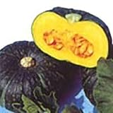 Kabocha Squash Seeds (25+ Seeds)(Non GMO Organic Vegetable Fruit Garden Seeds) Non-Hybrid, by Home Decorium