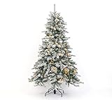 fichte baum des jahres KOSTENFREIE LIEFERUNG & EINZIGARTIGER SERVICE: Wir liefern Ihnen den Christbaum inkl. Ständer versandkostenfrei (innerhalb Deutschlands) nach Hause. Unser deutschsprachiger Kundenservice steht Ihnen gerne zur Verfügung.