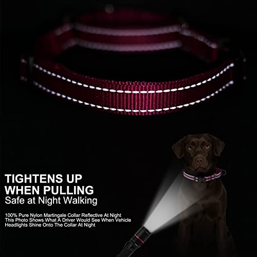 Personalized Martingale Dog Collar-Reflective Martingale Collars With Buckle, Custom Training Martingale Dog Collars Engraved With Name And Phone Number For Small Medium Large Dogs #TOP3