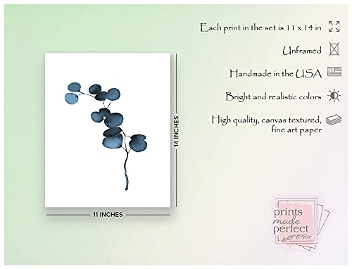 Botanical Prints Wall Art - Eucalyptus Leaves Decor - Blue Wall Art - Set of 3- Unframed (11x14)