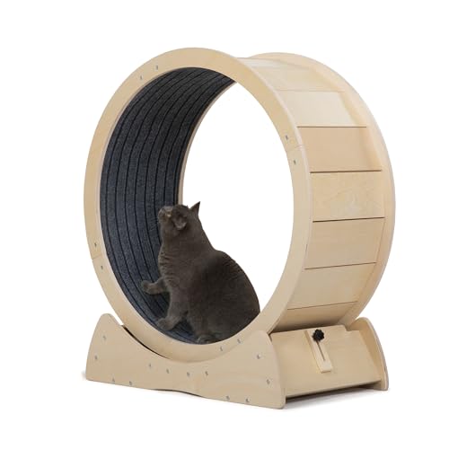 COZIVVOVV 31.5\" Large Cat Treadmill, Exercise Wheel with Locking Mechanism, Nonslip Carpet, Cat Teaser, Running Wheel for Indoor Cats Small Animals, Gray (Wood)