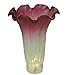 Meyda Lighting 124700 4.5W X 6H Seafoam/Cranberry Pond Lily Shade by Meyda
