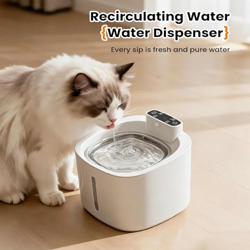 Fontaine à eau pour animaux réduit les odeurs pour chat et chien