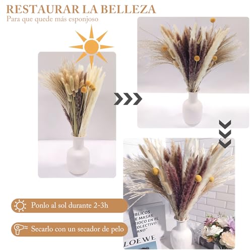 Hojas secas Kitchen 14 Imagen adicional