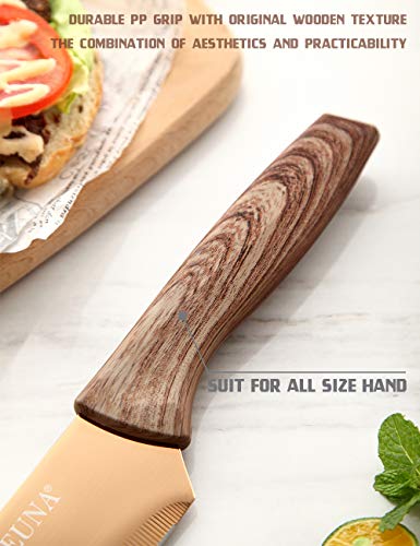 EUNA 8 Inch Chefs Knife UltraSharp, Kitchen knife for Culinary, Cooking Knife with Sheath and Gift Box, Wooden Texture Ergonomic Handle, Rose Red