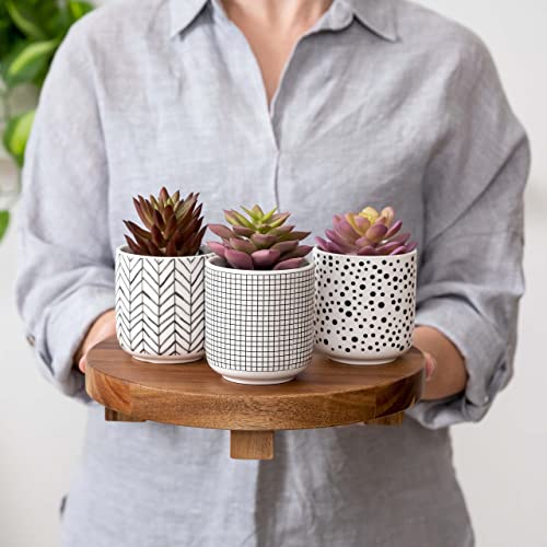 Kurrajong Farmhouse Round Pedestal Riser Board | Acacia Wood Display Board | Pedestal Board | Round Pedestal Riser | Soap Stand | Acacia Wood Riser | Kitchen Display Stand | Plant Holder #TOP3