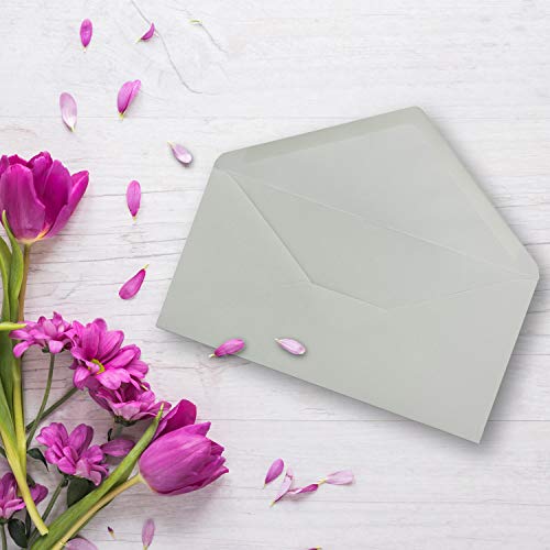 Neuser Colorful Envelopes DIN Long 220 x 110 mm, Nassklebung Gesamtparent 25 Umschläge Light Grey, 35 Light Grey, 25 envelopes - Image 2