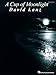 A Cup Of Moonlight David Lanz Piano Solo