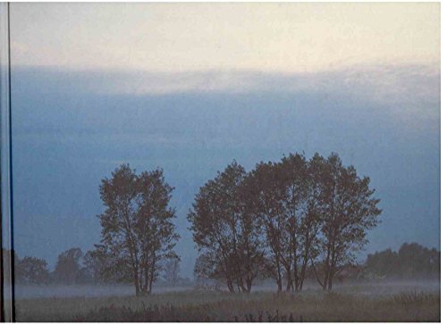 Preisvergleich Produktbild Das Oderbruch - Architektur einer Landschaft