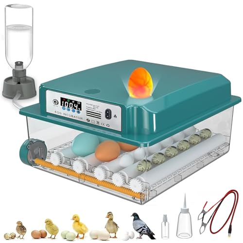 Image of CoInceptus 16 Eggs Incubators for Hatching Eggs, Egg Incubator with Automatic Egg Turning and Temperature Control, Chicken Egg Incubators with Egg Candler for Duck Goose Pigeon Quail