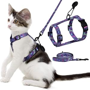 NCMAMA Cat Vest Harness and Leash Set with Airtag Holder, Adjustable Kitten Harness for Walking Escape Proof, Lightweight Soft and Comfortable Kitty Harness for Small Medium Large Cat