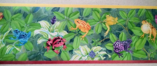 Jungle Rain Forest Frogs Wallpaper Border Cc810B #TOP4