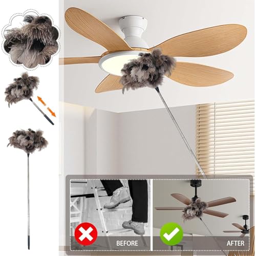 Plumeau extensible pour appareils ménagers et toiles d'araignée - 5