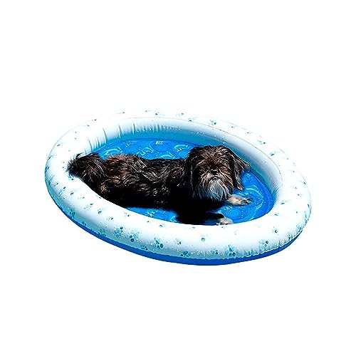 Dog Pool Float The 15 best products compared Wild Explained