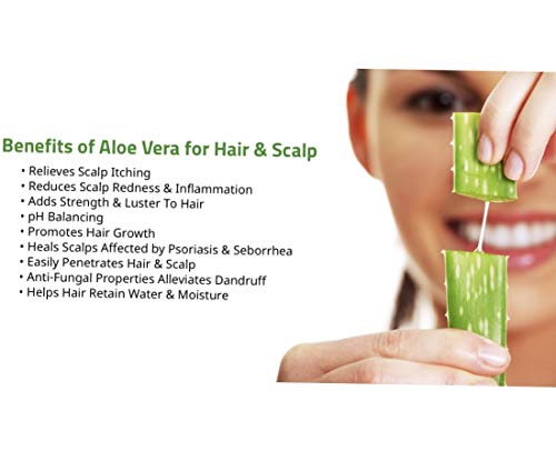 Organic Bubbles Aloe Vera Conditioner With Aloe Vera Leaf Juice. Our Aloe Vera Conditioner Is Organic, 100% Vegan, No Parabens, Sulphates Or Silicones. 490 Ml. #TOP5