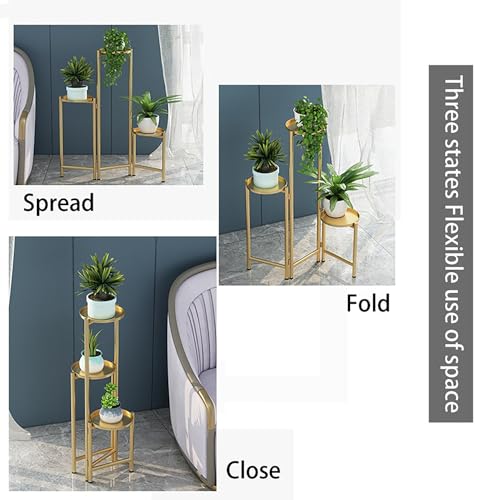 Support de plante à 3 niveaux compact pour optimiser l'espace des petits salons