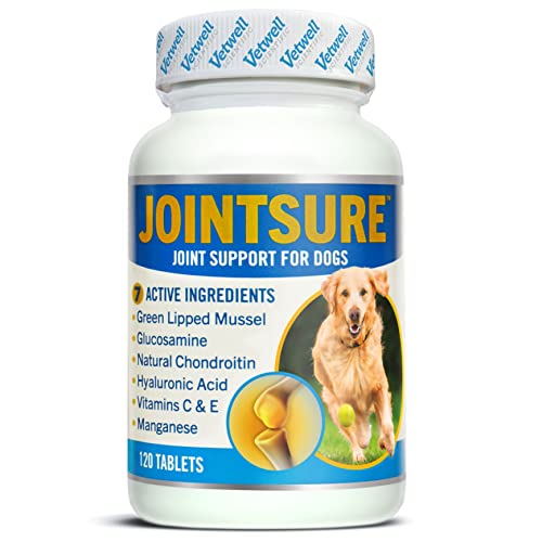 Compresse articolazioni cane con condroitina, glucosamina e artiglio del diavolo-120 pastiglie per il benessere delle articolazioni cane-L'integratori