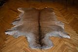Alfombra de piel de ciervo rojo con piel de ciervo grande para esconderse de taxidermia, caza coleccionable, decoración para el hogar.