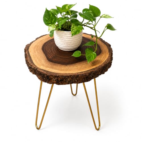 Image of Antique Wooden End Table for Living Room, Natural Bark Edge Side Table with Foldable Metal Legs, Rustic Plant Stand for Bedroom, Balcony & Corner Decor, 10-11 Inch Top x 12'' Height