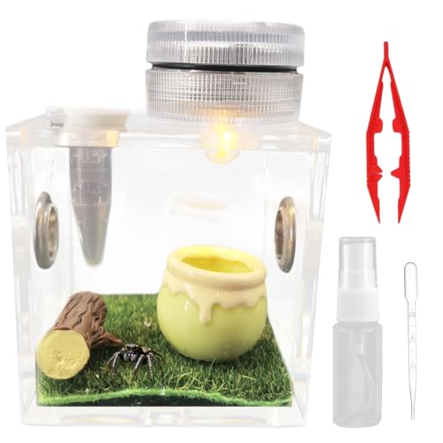 w偎P[XpA^`P[XAAN邢w偐 奁E^`pw偃{bNX