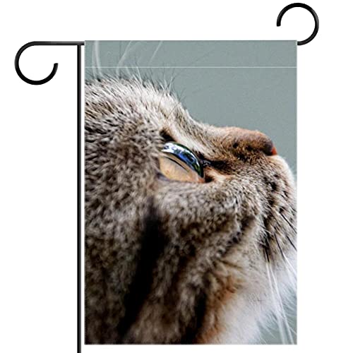 Bandera de jardín de gato británico de doble cara para exterior de poliéster
