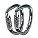 Hund und günstig Kaufen-BRAVESHINE Karabiner Karabinerhaken, 12KN Twist Lock Karabiner 80mm Aluminium Karabinerhaken groß mit Belastbarkeit bis 1200KG für Hängematte Sonnensegel Hundeleine Schaukel, 2 Stück