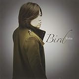 Bird 歌詞