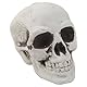 SimpleLife Kunststoff Menschlichen Mini Schädel Dekor Prop Skeleton Kopf Halloween Kaffeebars Ornament