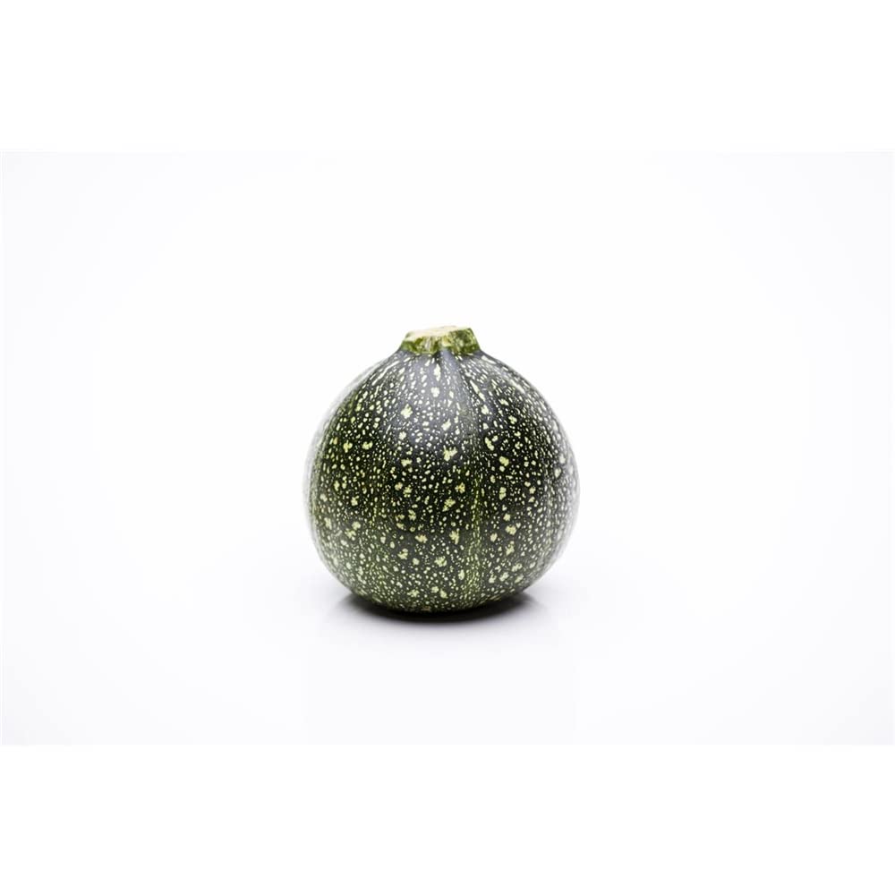 Zucchini ‚Eight Ball‘ F1 Samen – 1 Tüte, Buschig Wachsend, Resistent Gegen Gelbmosaikvirus, Ideal Zum Füllen